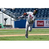 Juan Silverio makes a running catch for the Sussex County Miners