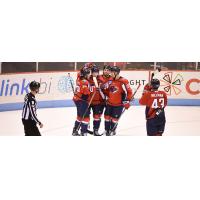 South Carolina Stingrays celebrate a goal against the Wheeling Nailers