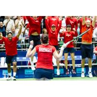Dover native Madison Brengle went from substitute to championship hero for the Washington Kastles in 2015