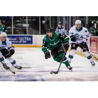 Texas Stars forward Riley Damiani