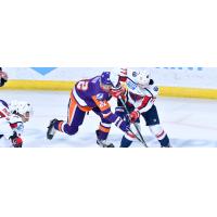 South Carolina Stingrays battle the Orlando Solar Bears