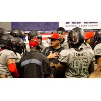 Carolina Cobras huddle