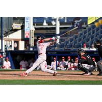 Reading Fightin Phils infielder Luke Miller