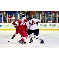 Chad Butcher of the Allen Americans