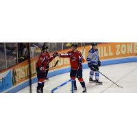 South Carolina Stingrays exchange a fist bump after a score against the Jacksonville Icemen