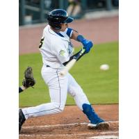 Omar Hernandez of the Columbia Fireflies