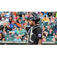 Long Island Ducks catcher Hector Sanchez