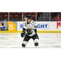 Matthew Boucher of the Utah Grizzlies