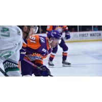 Orlando Solar Bears forward Aaron Luchuk