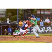 Reading Fightin Phils apply the tag at home against the Hartford Yard Goats