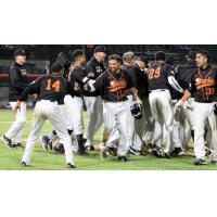 Long Island Ducks celebrate a walk-off win