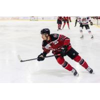 Birmingham Bulls forward CJ Hayes