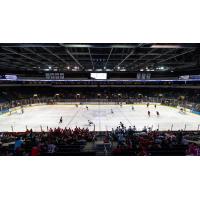 Allen Americans gameday