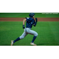 Somerset Patriots infielder Max Burt