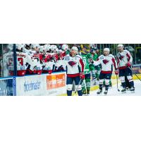 South Carolina Stingrays celebrate a goal along the bench