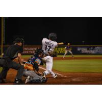 Pensacola Blue Wahoos catcher Nick Fortes at bat