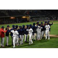 Tri-City Dust Devils exchange high fives after a win