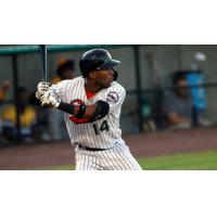 Johnni Turbo of the Long Island Ducks