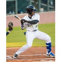 Juan Carlos Negret of the Columbia Fireflies at bat