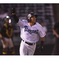 Anthony Volpe of the Tampa Tarpons watches a home run