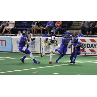 Jacksonville Sharks receiver Rashaun Simonise vs. the Columbus Lions
