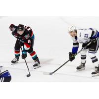 Kelowna Rockets battle the Victoria Royals