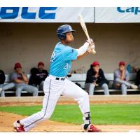 St. Cloud Rox outfielder Andrew Pinckney