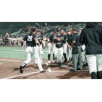 Adam Brett Walker II arrives home after his game-winning home run