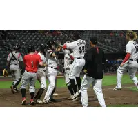 Fayetteville Woodpeckers celebrate a walk-off win