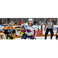 South Carolina Stingrays battle the Fort Wayne Komets