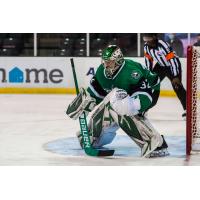 Goaltender Colton with the Texas Stars