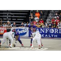 Sioux Falls Storm quarterback Lorenzo Brown awaits the snap against the Frisco Fighters