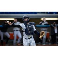 New York Yankees catcher Josh Breaux