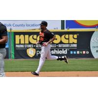 Long Island Ducks outfielder Daniel Fields