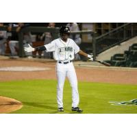 Diego Hernandez of the Columbia Fireflies