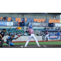 Brendan Ryan of the Green Bay Booyah at bat