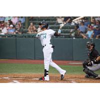 Daytona Tortugas centerfielder Allan Cerda