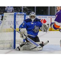 Jacksonville Icemen goaltender Charles Williams