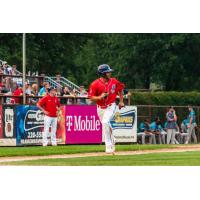 Peter Abinanti of the St. Cloud Rox