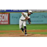 Long Island Ducks pitcher Anderson DeLeon delivers