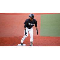 Ariel Sandoval of the Southern Illinois Miners