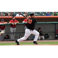Lew Ford of the Long Island Ducks