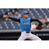 Tampa Tarpons pitcher Beck Way