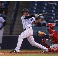 Ben Cowles with a big swing for the Tampa Tarpons