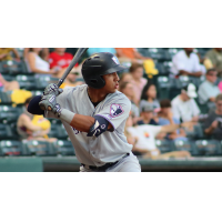 Oswald Peraza of the Somerset Patriots