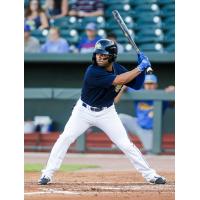 Jean Ramirez at bat for the Columbia Fireflies
