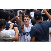 Cooper Bowman receives congratulations from his Tampa Tarpons teammates following his grand slam