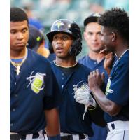 Juan Carlos Negret of the Columbia Fireflies