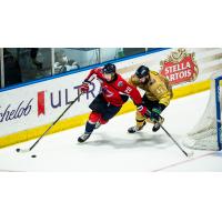 Defenseman Casey Johnson with the South Carolina Stingrays