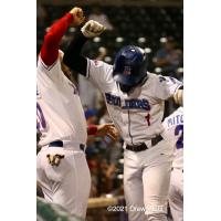 New York Boulders' Milton Smith, Jr. gets congratulated after his fifth inning solo home run against Equipe Quebec